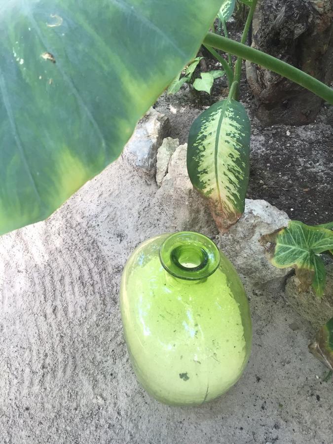 Agua Eco Design Hotel Tulum Eksteriør bilde