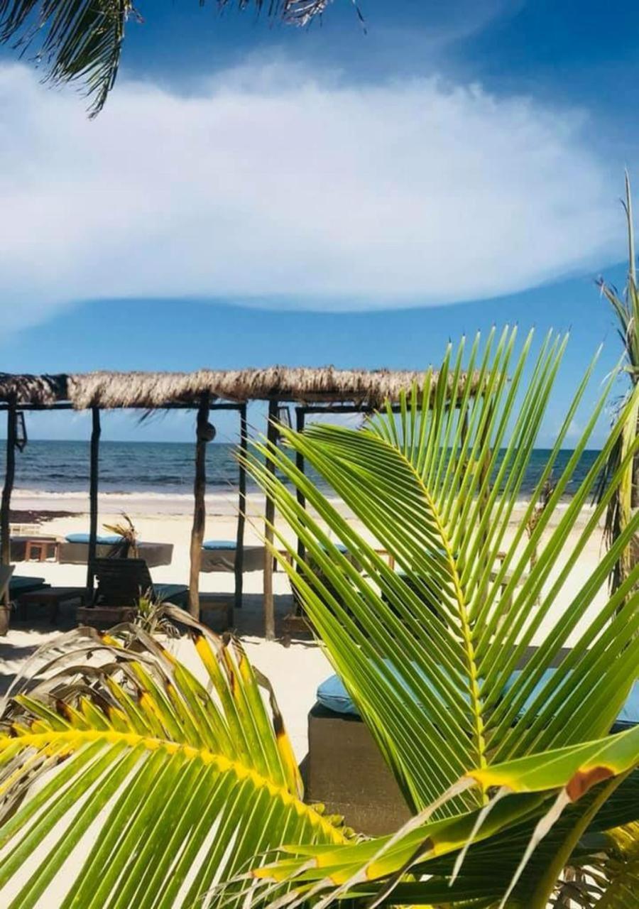 Agua Eco Design Hotel Tulum Eksteriør bilde